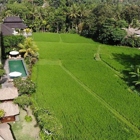 Byasa Ubud Εξωτερικό φωτογραφία