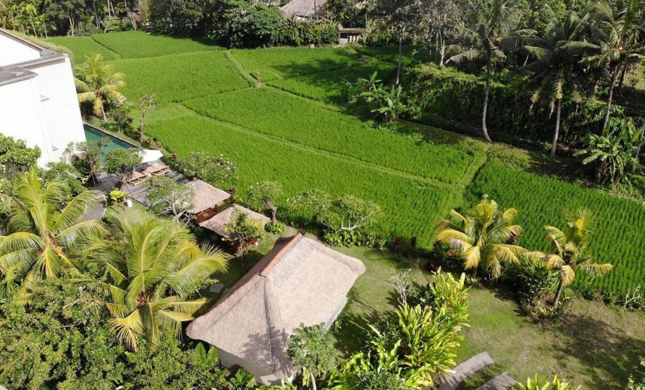 Byasa Ubud Εξωτερικό φωτογραφία