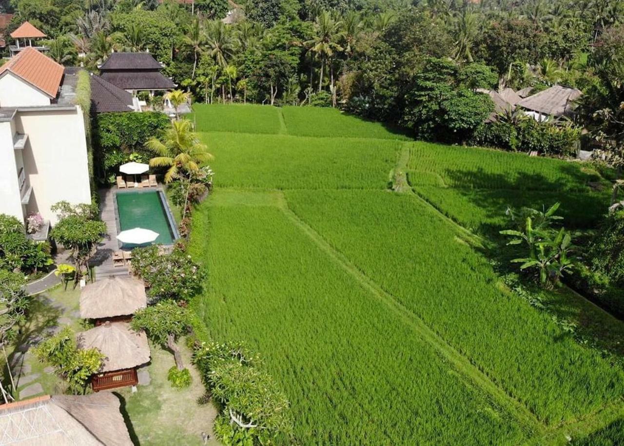 Byasa Ubud Εξωτερικό φωτογραφία