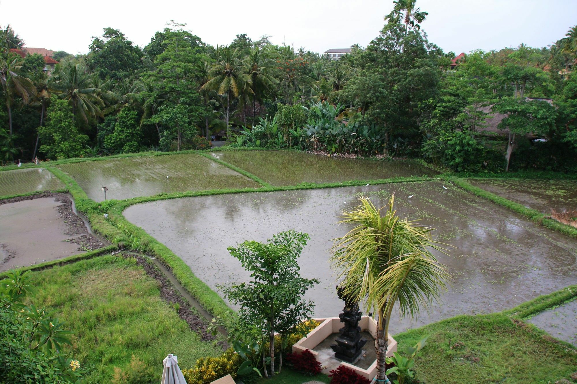 Byasa Ubud Εξωτερικό φωτογραφία