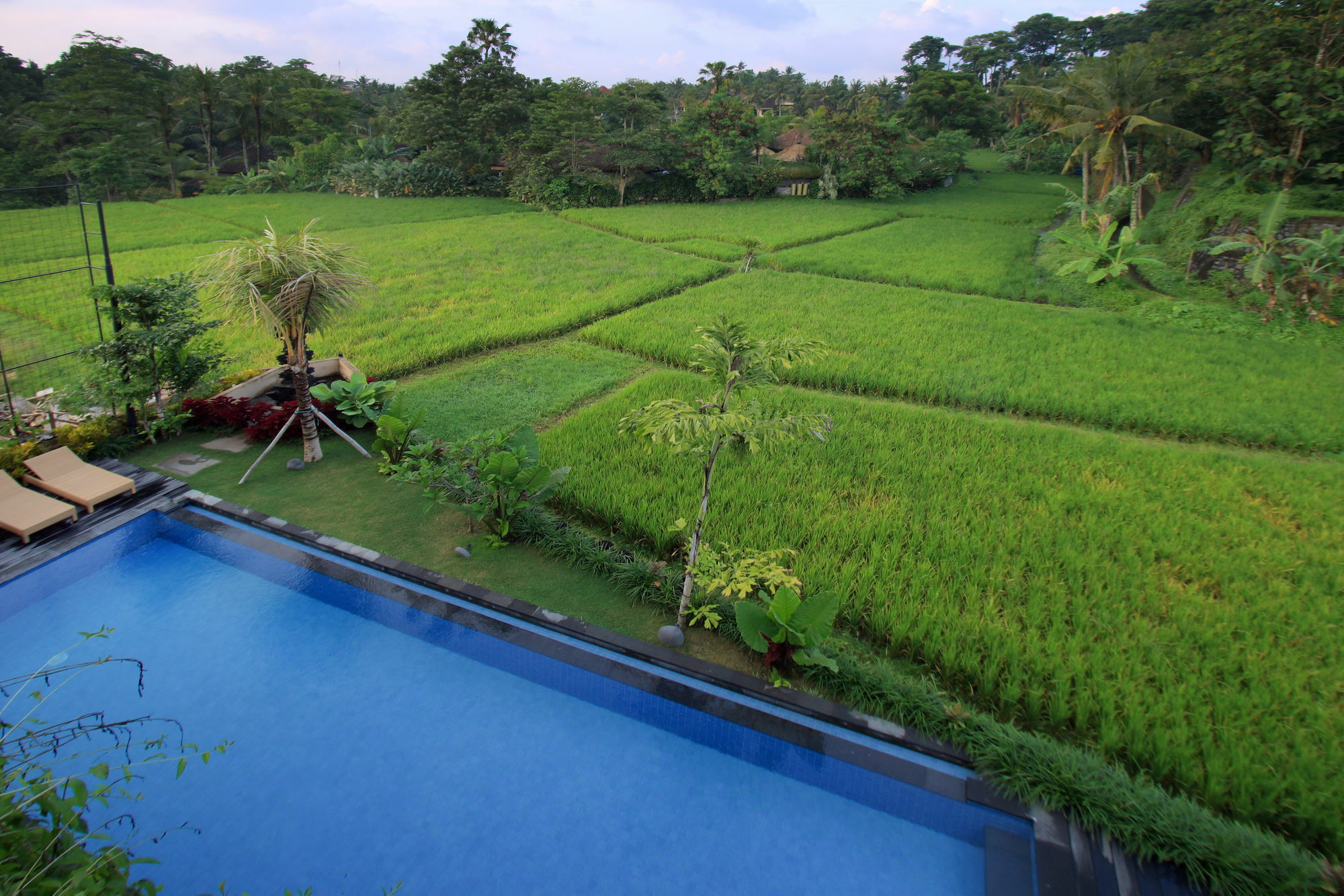 Byasa Ubud Εξωτερικό φωτογραφία
