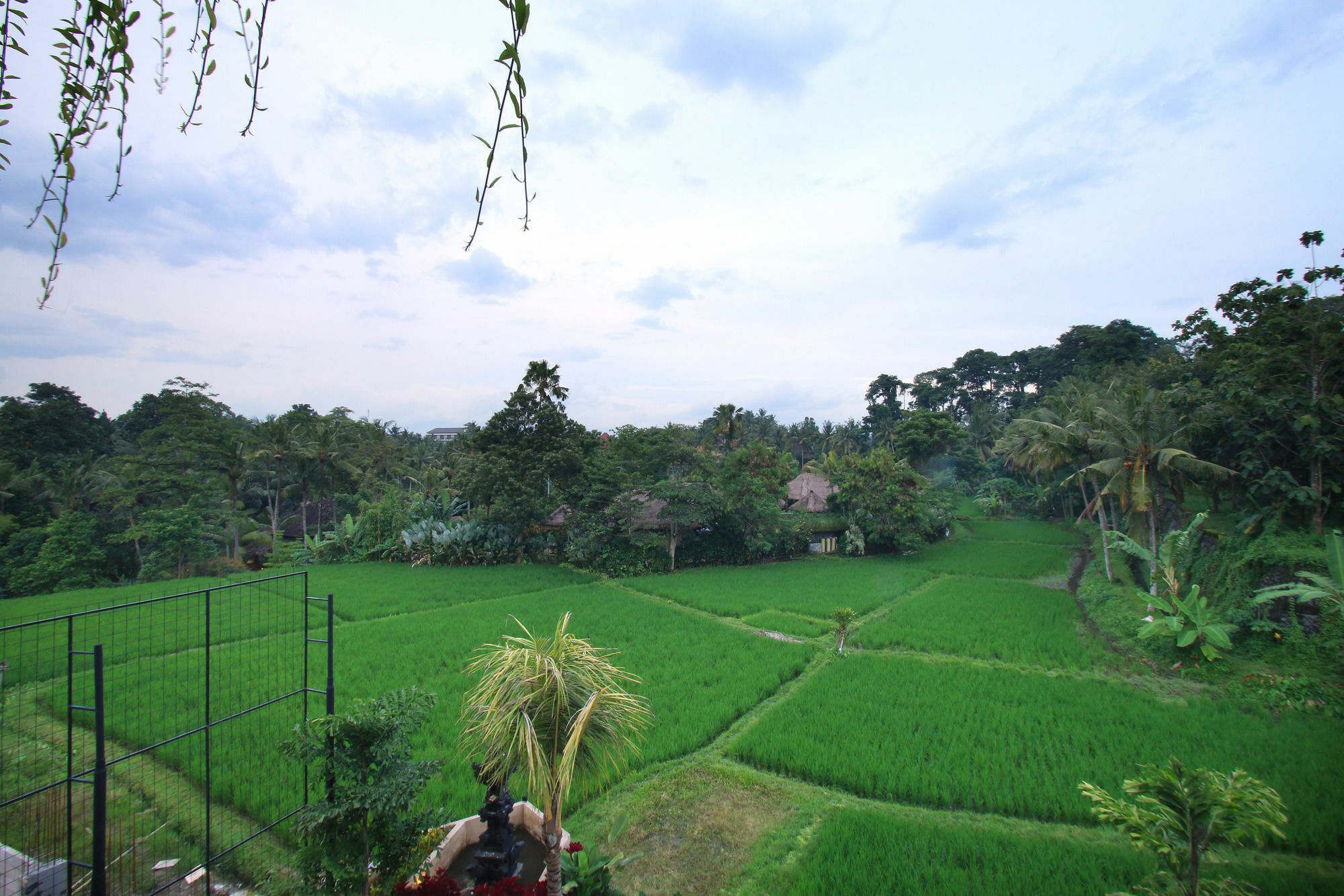 Byasa Ubud Εξωτερικό φωτογραφία